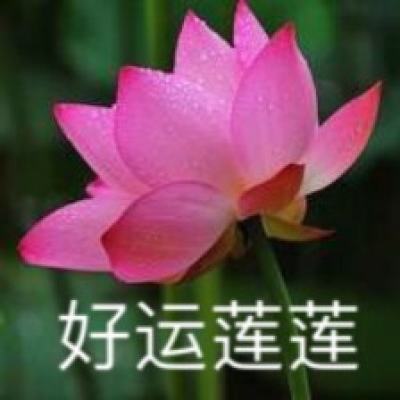 「新华网」习近平复信史迪威将军后人